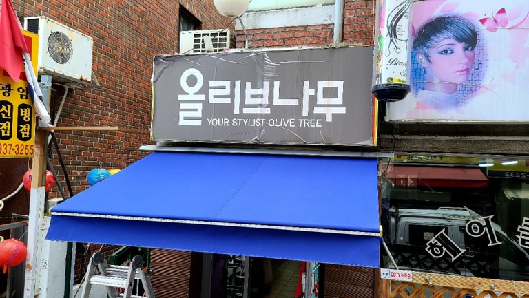올리브나무 (접이식, 수동)
