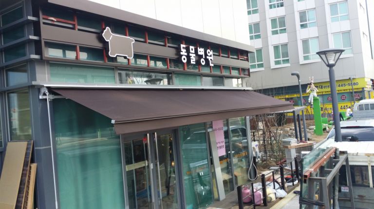 강남 자곡 힐스타동물병원