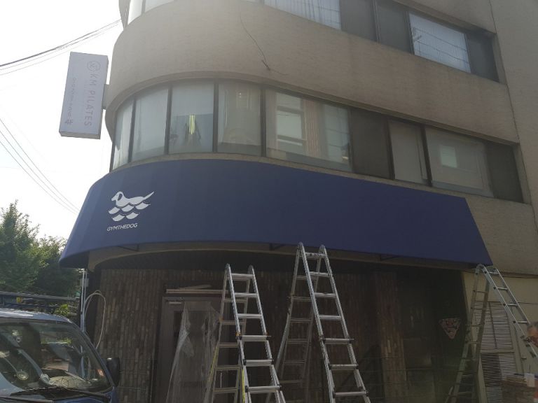 청담동 짐더독