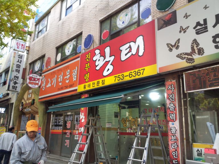 성남 황태