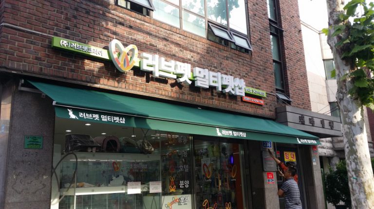 방이점 러브펫멀티펫샵